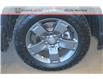 2025 Honda Ridgeline TrailSport (Stk: 16-250612) in Orléans - Image 20 of 27