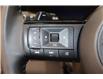 2024 Nissan Pathfinder Platinum (Stk: S1217C) in Watrous - Image 21 of 44