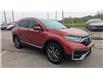 2020 Honda CR-V Touring (Stk: 25149A) in Simcoe - Image 7 of 21