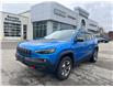 2019 Jeep Cherokee Trailhawk (Stk: 25-061A) in Tillsonburg - Image 1 of 13