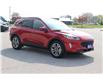 2021 Ford Escape SEL (Stk: U852) in Harrow - Image 3 of 11