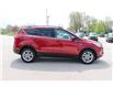 2019 Ford Escape SEL (Stk: ES258A) in Harrow - Image 4 of 11
