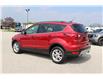 2019 Ford Escape SEL (Stk: ES258A) in Harrow - Image 7 of 11
