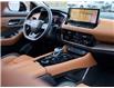 2025 Nissan Rogue Platinum (Stk: N25261) in Hamilton - Image 17 of 30