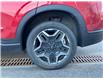 2022 Hyundai Santa Fe Urban (Stk: NF383417) in Abbotsford - Image 6 of 25
