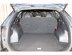 2025 Kia Sportage EX Premium w/Red Interior (Stk: 26117) in Edmonton - Image 21 of 25