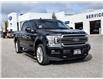 2019 Ford F-150 Limited (Stk: VFFH00586A) in Chatham - Image 7 of 37