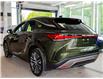 2025 Lexus RX 350h Base (Stk: 6746) in Kingston - Image 4 of 17