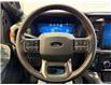2025 Ford F-150 Tremor (Stk: NA96235) in Shellbrook - Image 12 of 23