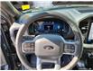 2025 Ford F-150 XLT (Stk: TS248) in Kamloops - Image 19 of 34