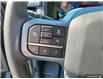 2025 Ford F-150 XLT (Stk: TS248) in Kamloops - Image 20 of 34
