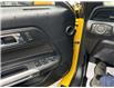 2017 Ford Mustang V6 (Stk: 14241) in Sudbury - Image 5 of 17