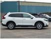 2023 Honda CR-V LX (Stk: WN25405A) in Welland - Image 4 of 26