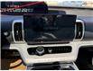 2025 Ford Expedition Active (Stk: 25DEP001) in Drayton Valley - Image 12 of 17