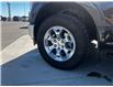 2021 Ford F-150 XLT (Stk: 267143) in Fort MacLeod - Image 8 of 22