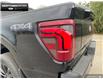 2025 Ford F-150 Lariat (Stk: 5F101270) in Brantford - Image 9 of 23