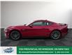 2025 Ford Mustang GT Premium (Stk: MG06971) in Windsor - Image 4 of 25