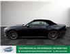 2025 Ford Mustang EcoBoost Premium (Stk: MG14733) in Windsor - Image 4 of 25