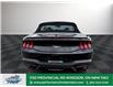 2025 Ford Mustang EcoBoost Premium (Stk: MG14733) in Windsor - Image 6 of 25
