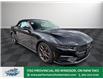 2025 Ford Mustang EcoBoost Premium (Stk: MG14733) in Windsor - Image 10 of 25