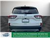2021 Ford Escape Titanium (Stk: PR02902) in Windsor - Image 6 of 47