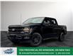 2025 Ford F-150 XLT (Stk: FS29185) in Windsor - Image 1 of 19