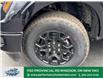 2025 Ford F-150 XLT (Stk: FS29185) in Windsor - Image 2 of 19
