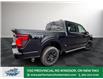 2025 Ford F-150 XLT (Stk: FS29185) in Windsor - Image 7 of 19