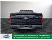 2025 Ford F-150 XLT (Stk: FS30928) in Windsor - Image 6 of 25