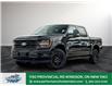 2025 Ford F-150 XLT (Stk: FS83644) in Windsor - Image 1 of 27