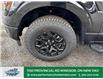 2025 Ford F-150 XLT (Stk: FS83644) in Windsor - Image 2 of 27