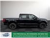 2025 Ford F-150 XLT (Stk: FS83644) in Windsor - Image 9 of 27
