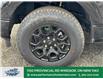 2025 Ford F-150 XLT (Stk: FS82016) in Windsor - Image 2 of 47