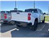 2025 Chevrolet Silverado 1500 Custom Trail Boss (Stk: CS185) in High River - Image 4 of 6