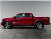 2013 Ford F-150 FX4 (Stk: BP2964) in Saskatoon - Image 2 of 16
