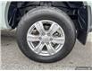 2022 Ford Ranger XLT (Stk: TT8672) in Sarnia - Image 6 of 25