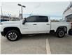 2023 Chevrolet Silverado 2500HD Custom (Stk: 27977P) in Newmarket - Image 7 of 20