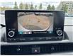 2023 Honda CR-V Sport (Stk: 252609P) in Richmond Hill - Image 14 of 23