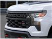 2025 Chevrolet Silverado 1500 Custom Trail Boss (Stk: 104079) in Exeter - Image 13 of 24