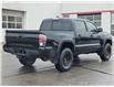 2023 Toyota Tacoma  (Stk: 25021A) in Bowmanville - Image 6 of 32