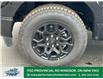 2025 Ford F-150 XLT (Stk: FS82378) in Windsor - Image 2 of 28
