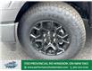 2025 Ford F-150 XLT (Stk: FS82137) in Windsor - Image 2 of 27
