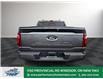 2025 Ford F-150 XLT (Stk: FS82137) in Windsor - Image 6 of 27