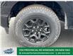 2025 Ford F-150 XLT (Stk: FS84299) in Windsor - Image 2 of 28