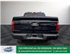 2025 Ford F-150 XLT (Stk: FS84299) in Windsor - Image 6 of 28