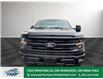 2025 Ford F-150 XLT (Stk: FS84299) in Windsor - Image 11 of 28