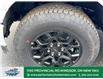 2025 Ford F-150 XLT (Stk: FS82593) in Windsor - Image 2 of 27