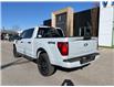 2025 Ford F-150 STX (Stk: VF1F00823) in Chatham - Image 2 of 19