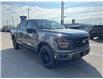 2025 Ford F-150 XLT (Stk: VF1F00885) in Chatham - Image 5 of 22