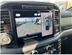 2025 Ford F-150 XLT (Stk: VF1F00885) in Chatham - Image 20 of 22
